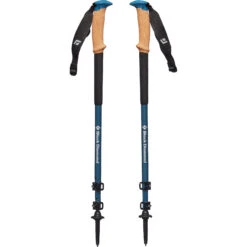Black Diamond Alpine Carbon Cork WR Trekkingstokken (Paar) - Astral Blue