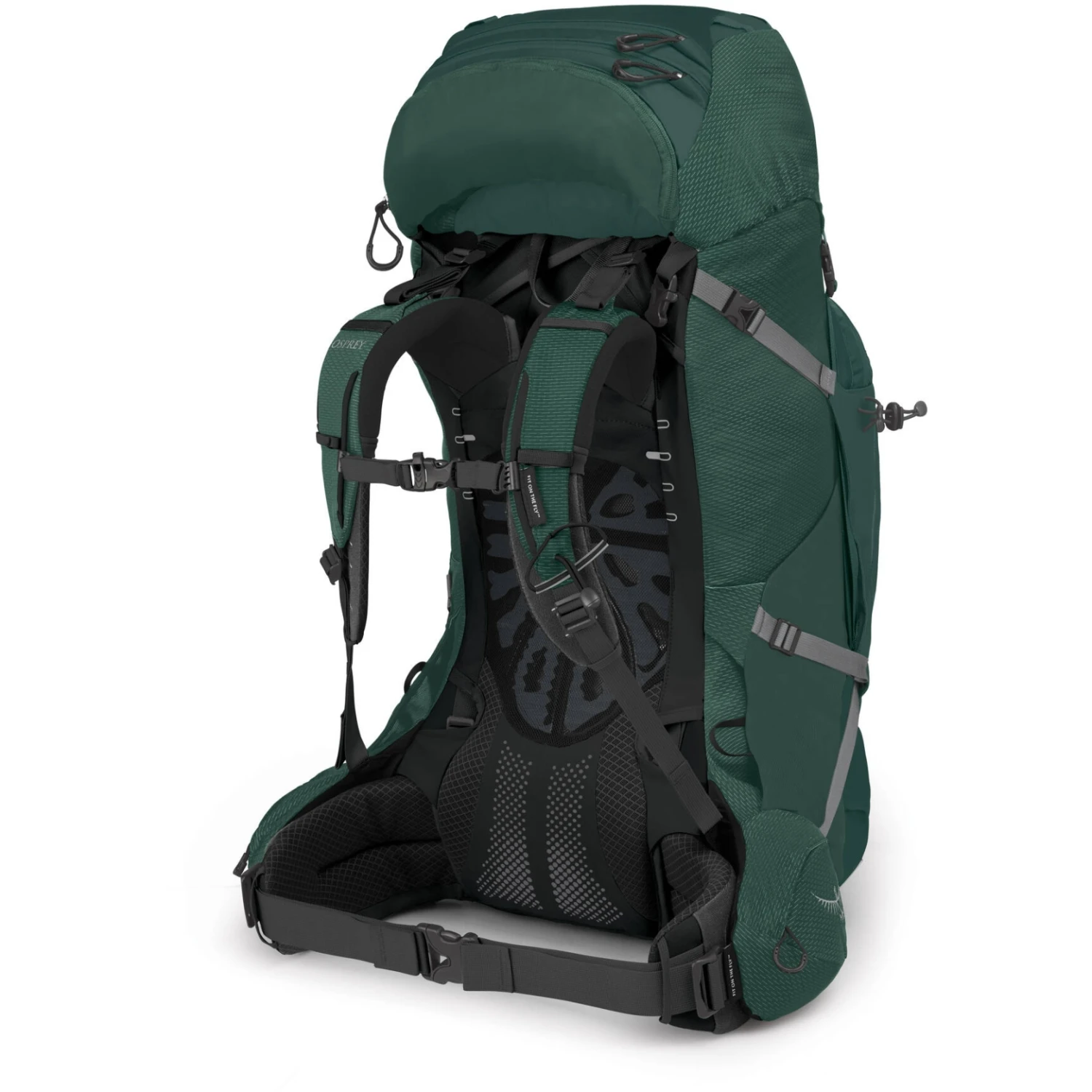 Osprey Aether Plus 70 Rugzak - Axo Green - S/M - Afbeelding 3