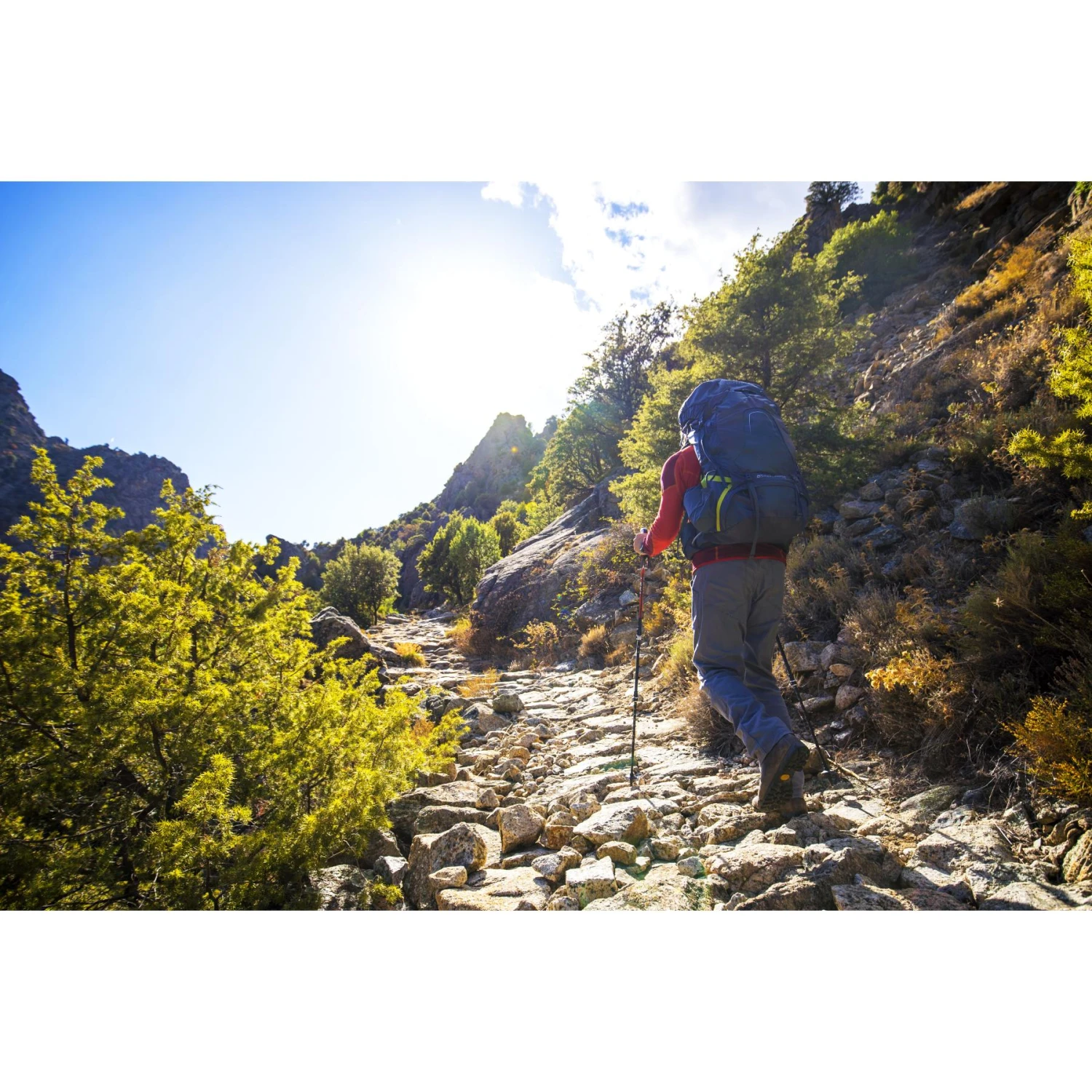 Osprey Atmos AG 50 Backpack - Mythical Green - S/M - Afbeelding 12