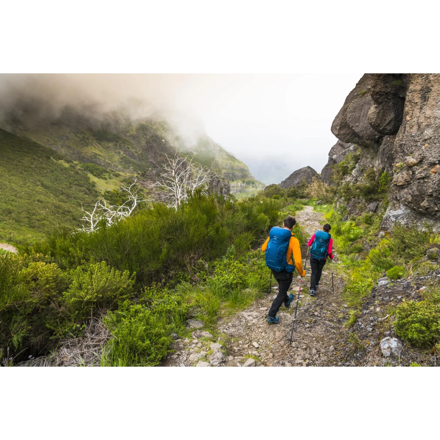 Osprey Kyte 56 Women's Backpack - Siren Grey - WS/WM - Afbeelding 12