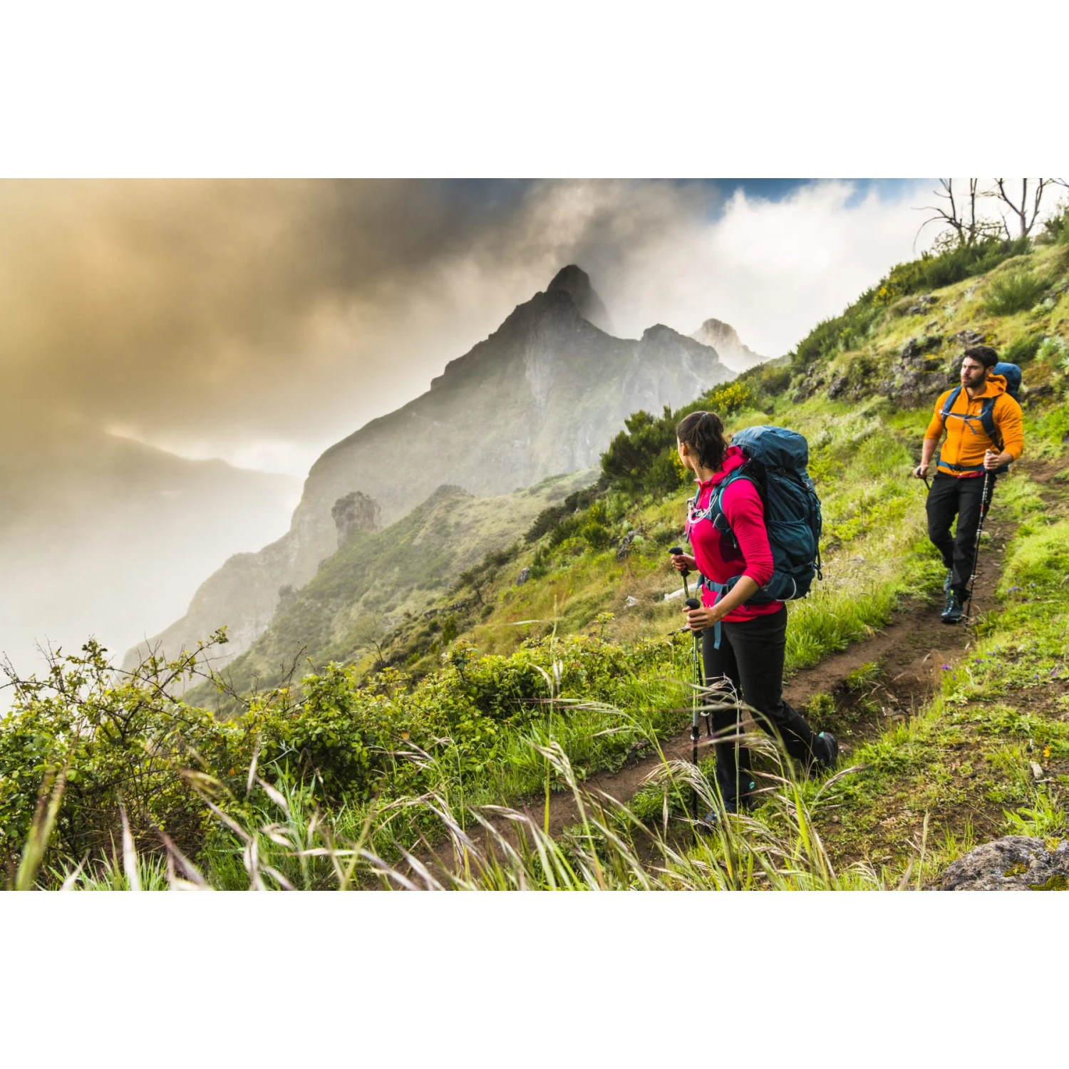 Osprey Kyte 56 Women's Backpack - Siren Grey - WS/WM - Afbeelding 13