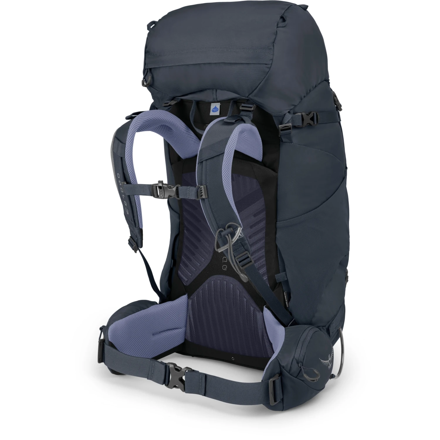 Osprey Kyte 56 Women's Backpack - Siren Grey - WS/WM - Afbeelding 2