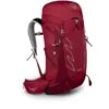 Osprey Talon 33 Backpack - Cosmic Red - L/XL